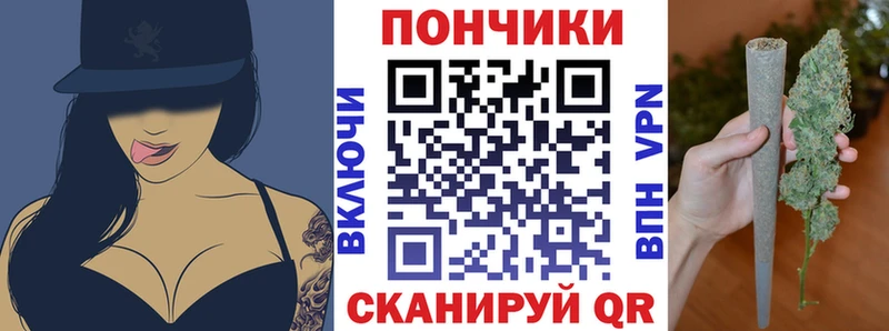 Купить закладку Приозерск Канабис  Псилоцибиновые грибы  Меф мяу мяу  Кокаин 