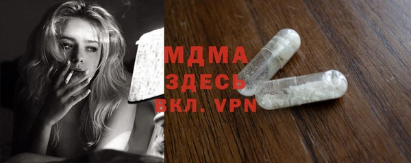 гашик Дмитров