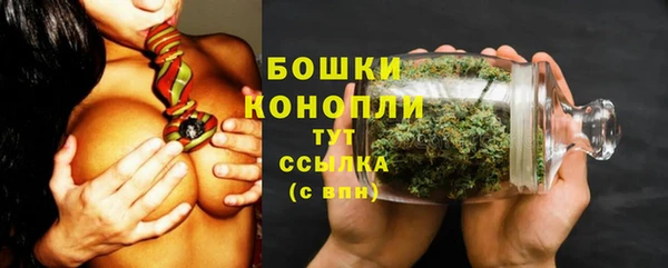 гашик Дмитров