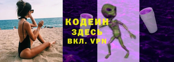 гашик Дмитров