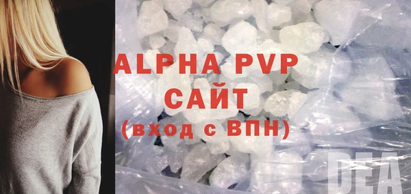 гашик Дмитров
