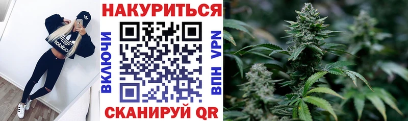 Канабис OG Kush Приозерск